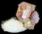Red Vanadinite Crystals on Matrix - Morocco #38508-1